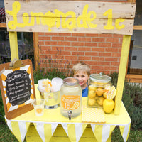 Lemonade Stand Decorations Set