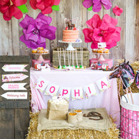 Horse Party Table Set Up