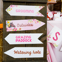 Horse Birthday Party Set for a Girl | Pony Party | Pink Floral Horse Party