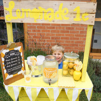 Lemonade Stand Decorations Set 