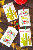 Fiesta Favor Bags - Flowers and cactus