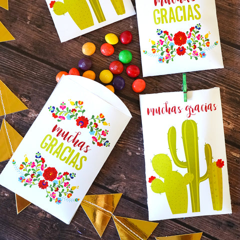Fiesta Favor Bags - Flowers and cactus