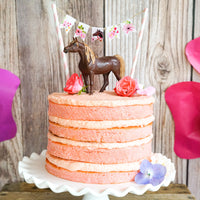 Horse Party Mini Cake Bunting