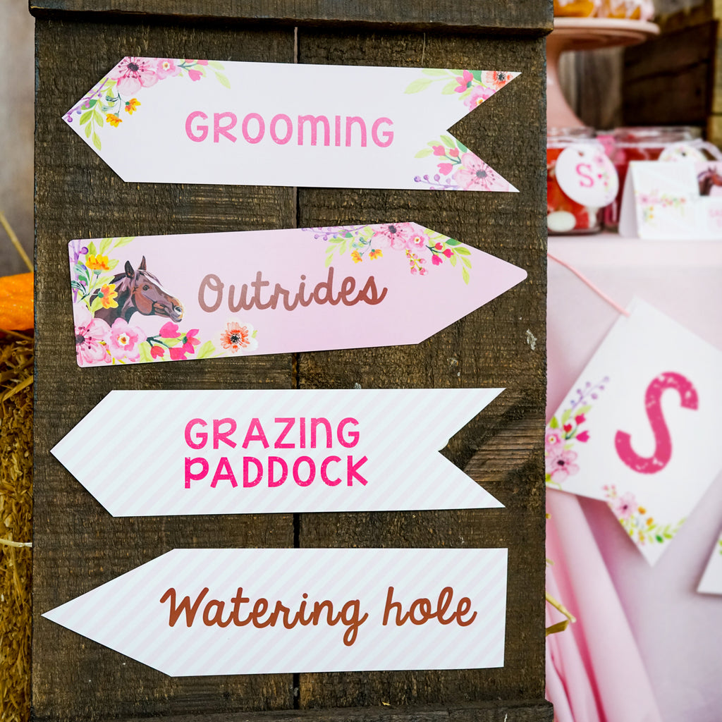 Horse Birthday Party Directional Signs | Pony Party Directional Signs