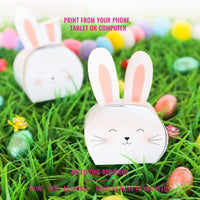 Easter Bunny Box Template SVG | Gift Box SVG | Easter Party Favor | Box Template