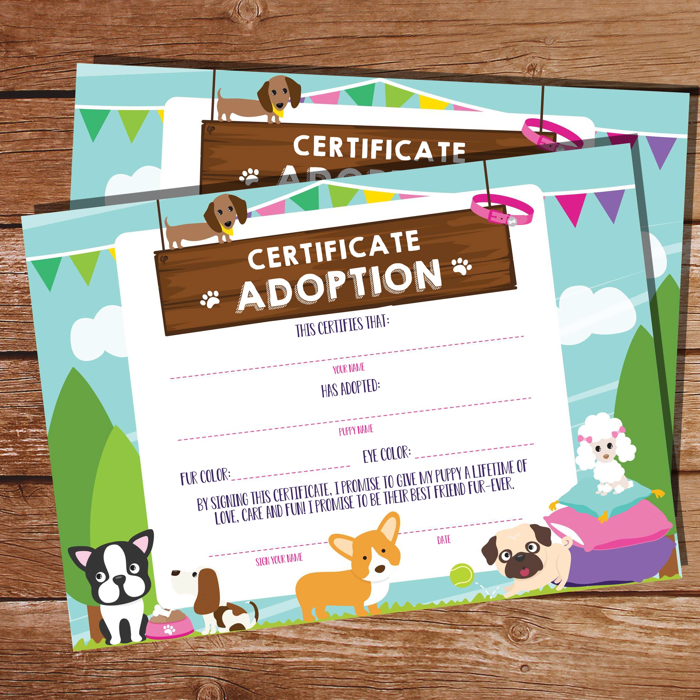 Image 20 for Toy Adoption Certificate Template