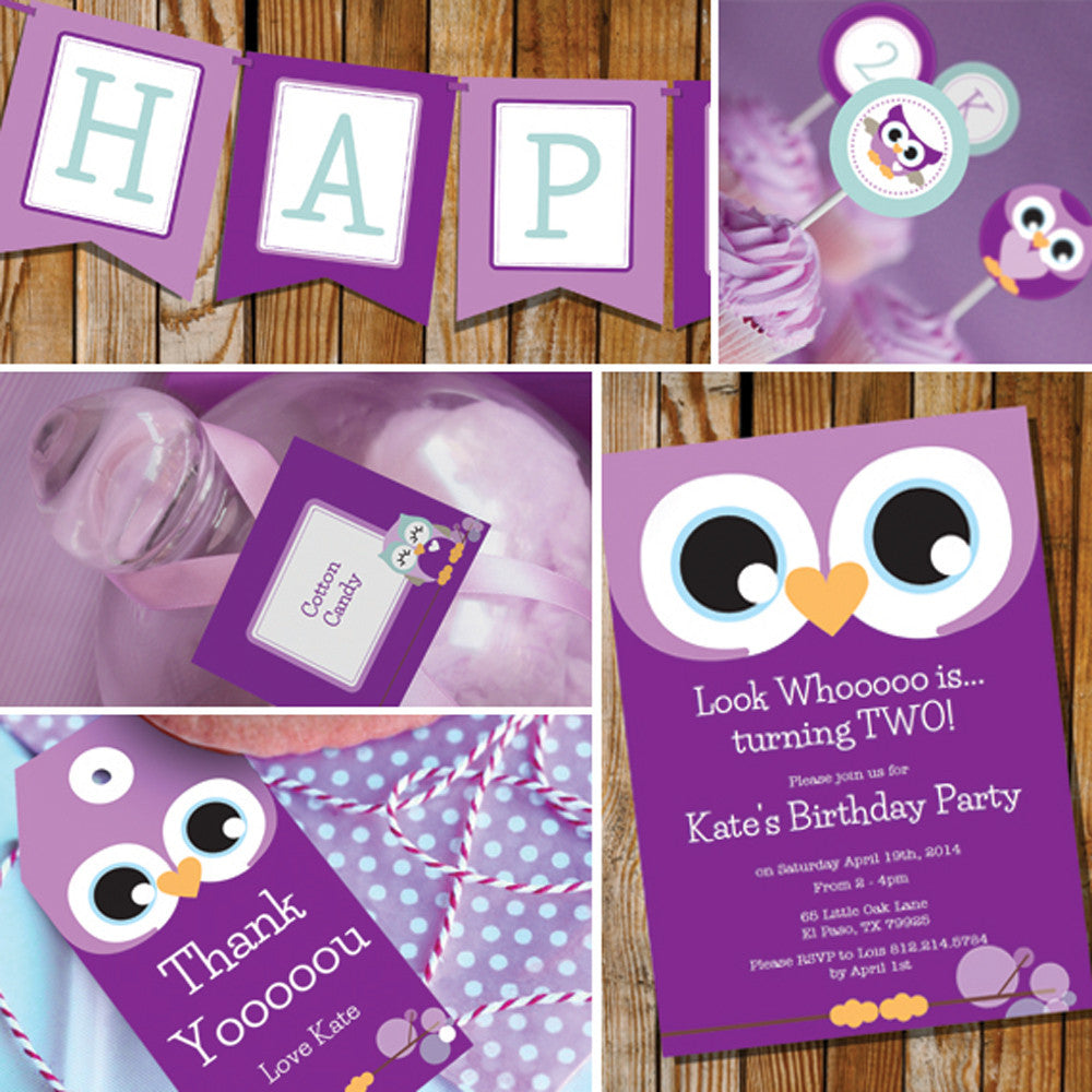 Purple Owl Birthday Party Decorations For A Girl