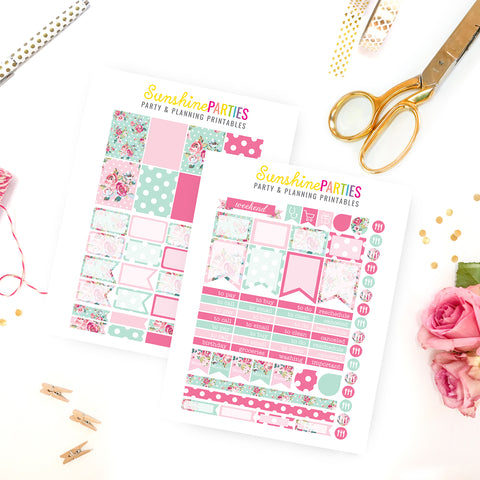 Shabby Chic Turquoise Planner Stickers | Organizer Planner Stickers